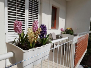  Apartment Vice mali  Сплит